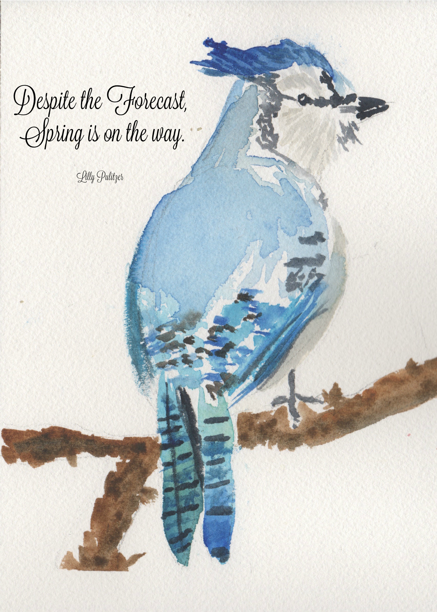 Blue Jay Watercolor Free Printable - Finding Silver Pennies