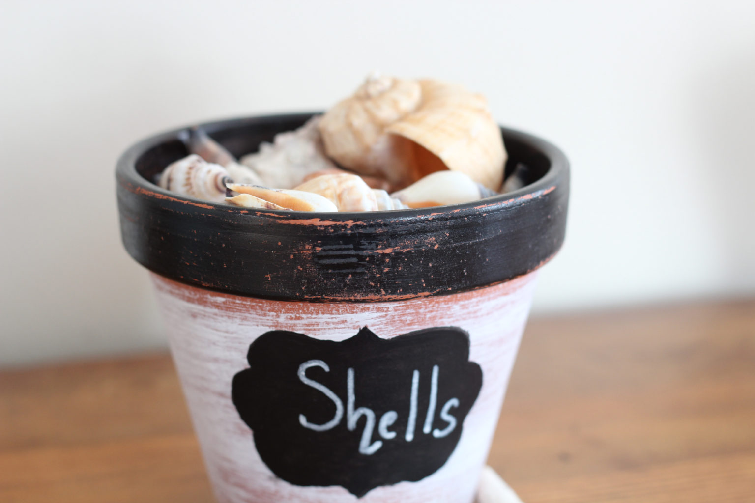 Nautical Chart Art Finding Silver Pennies