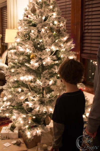 Conor with the tree