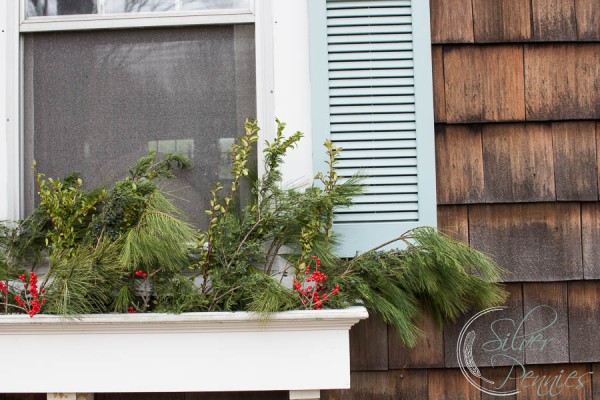Window Boxes for Christmas