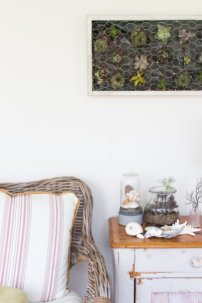 Diy Coastal Succulent Wall Hanging Finding Silver Pennies
