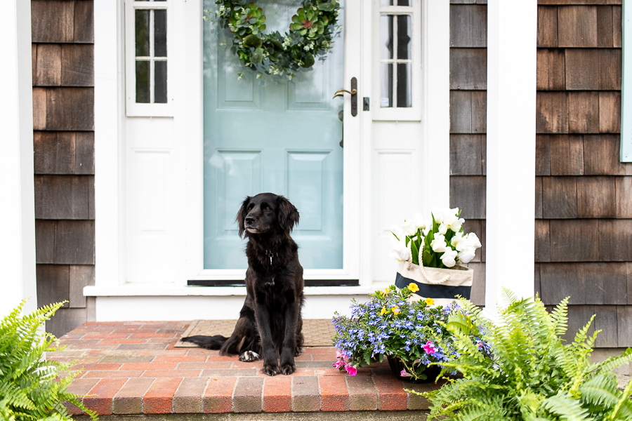 Summer Entry and Easy Ways to Add Curb Appeal - Finding Silver Pennies