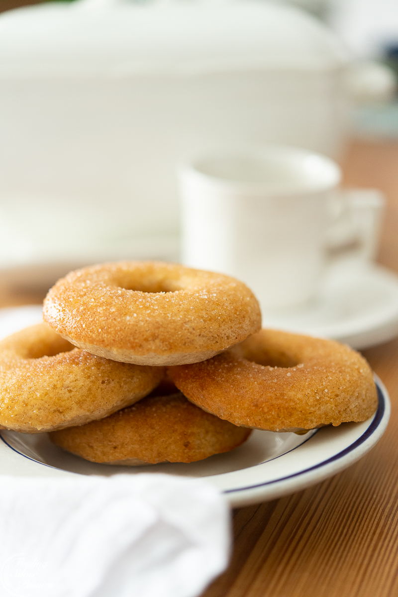 https://www.findingsilverpennies.com/wp-content/uploads/2022/02/Plate-of-baked-doughnuts.jpg